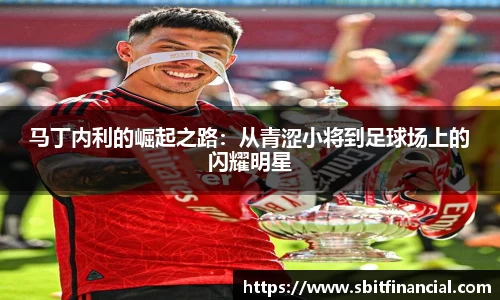 马丁内利的崛起之路：从青涩小将到足球场上的闪耀明星